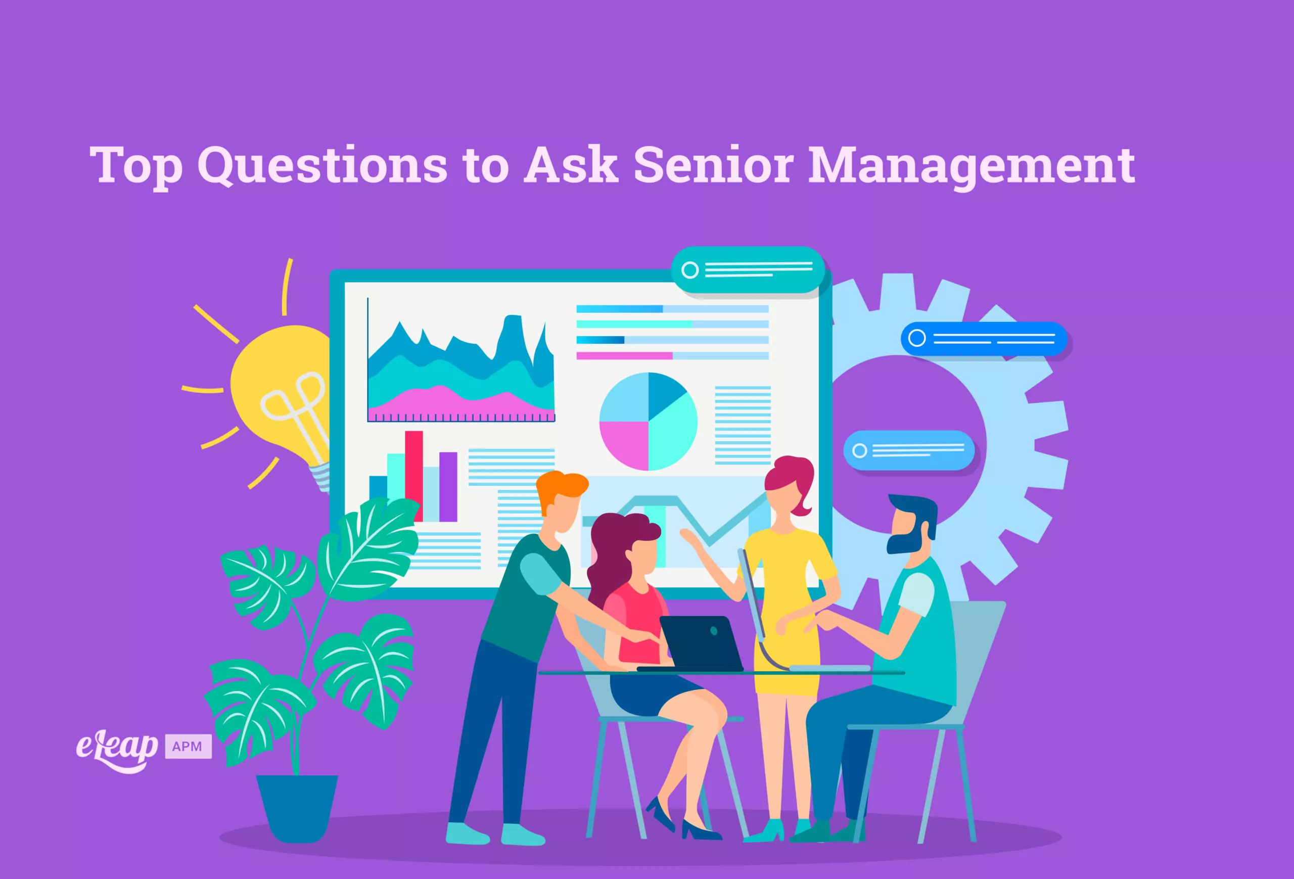Questions to Ask Senior Management